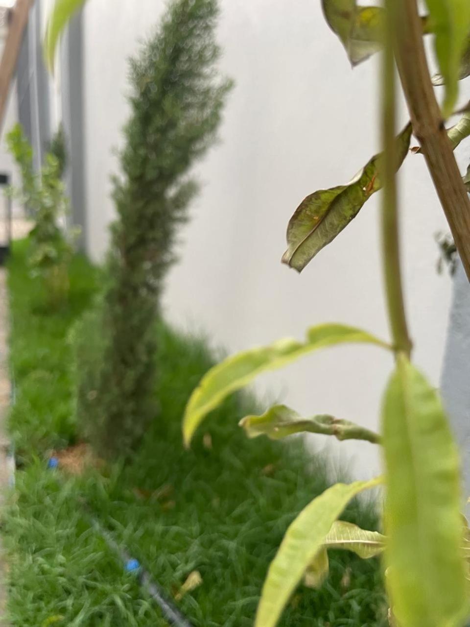 Aparthotel Garden Land Khamis Mushait Exterior foto